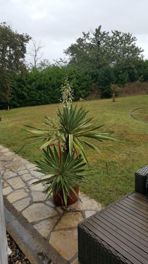 La Belle Chaumiere Bed & Breakfast Bretagne-de-Marsan Dış mekan fotoğraf