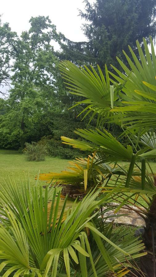 La Belle Chaumiere Bed & Breakfast Bretagne-de-Marsan Dış mekan fotoğraf